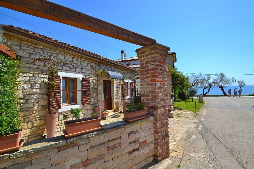 Villa Giardin Novigrad  Zewnętrze zdjęcie