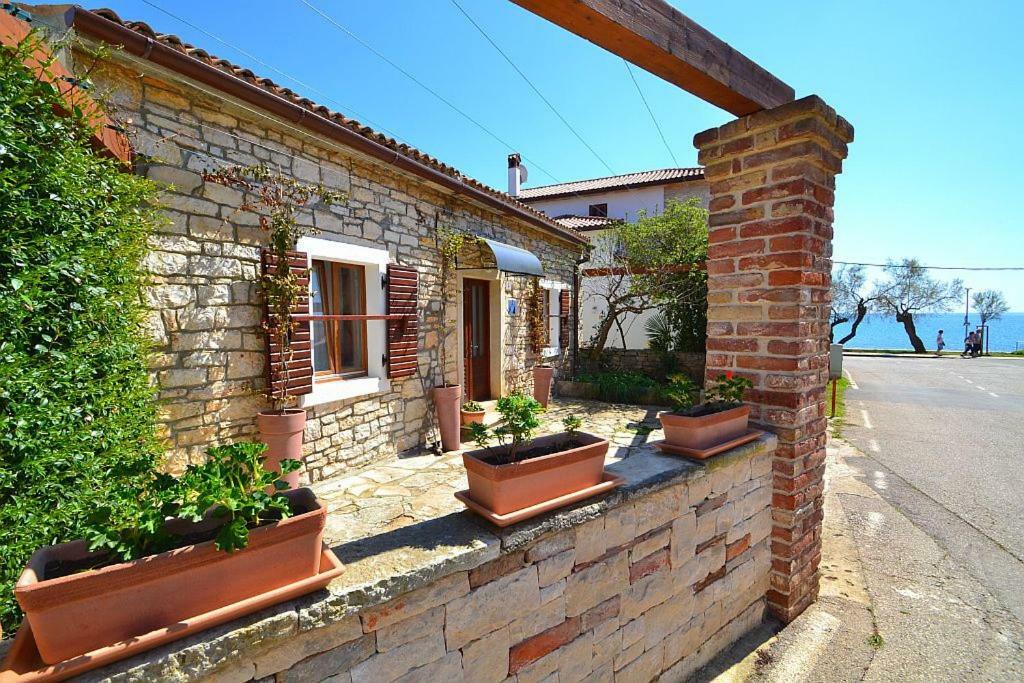 Villa Giardin Novigrad  Zewnętrze zdjęcie